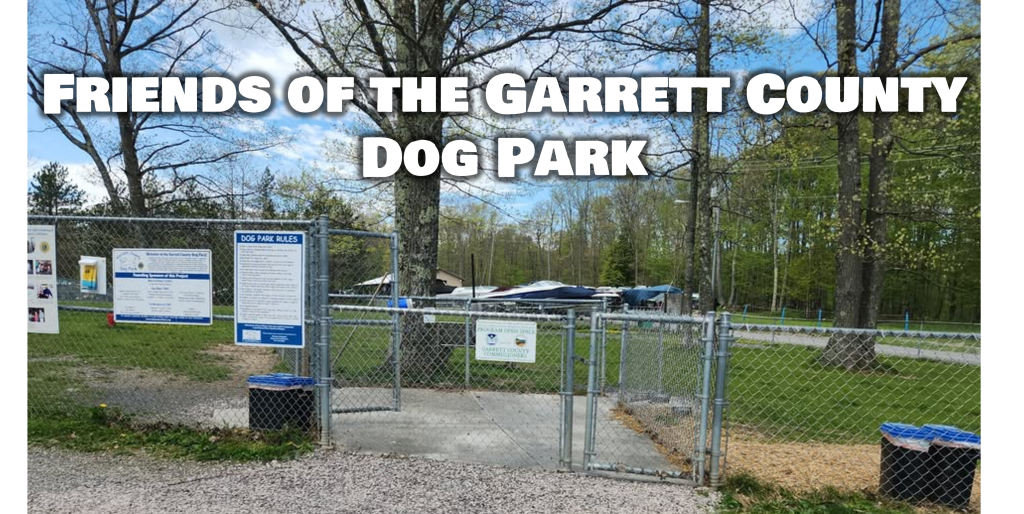 Friends of the Dog Park